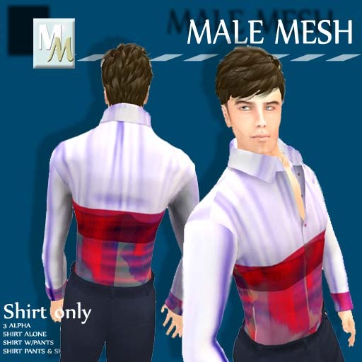 Shirt Silk Designer Mesh