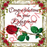 E9 Congratulations on your Engagement (Rezz Me)