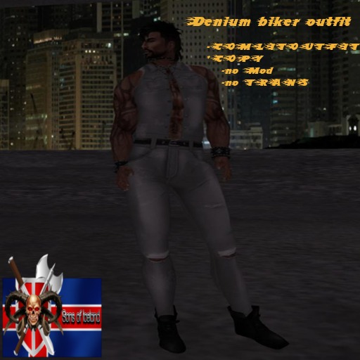 250 Denium biker