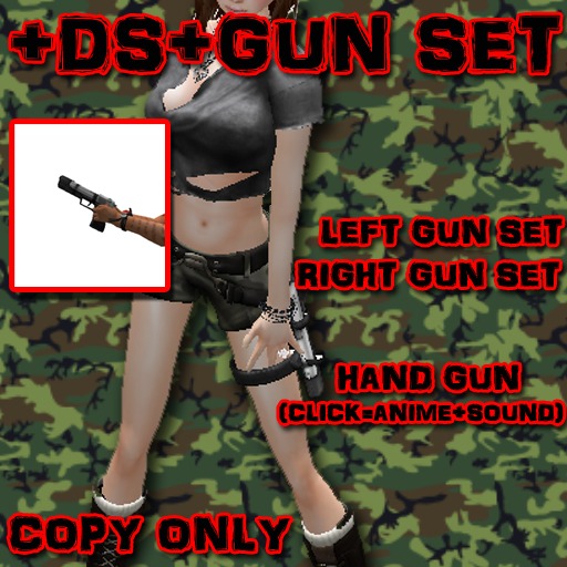+DS+ GUN SET