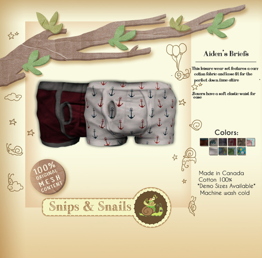 .S&S. Aiden's Briefs - Brick Pack