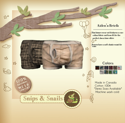 .S&S. Aiden's Briefs - Fudge Pack