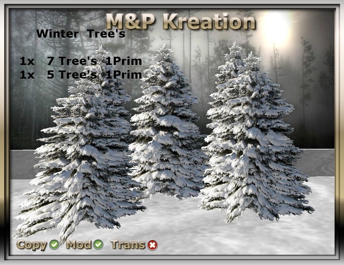 Winter Tree's 2 