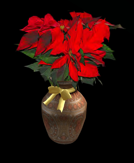 Christmas poinsetia in a pot 2