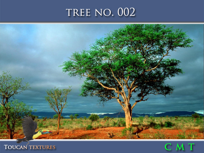 [Toucan Textures] Tree No. 002