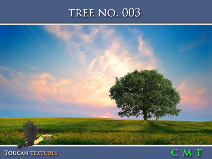 [Toucan Textures] Tree No. 003