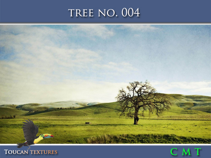 [Toucan Textures] Tree No. 004