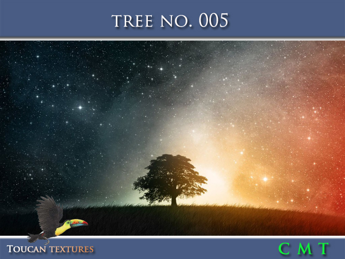 [Toucan Textures] Tree No. 005