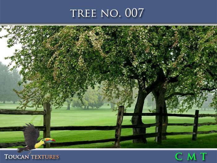 [Toucan Textures] Tree No. 007