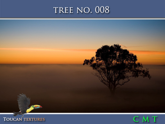 [Toucan Textures] Tree No. 008