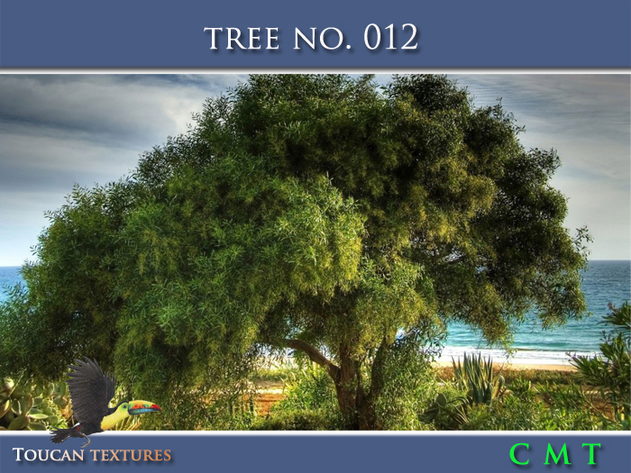 [Toucan Textures] Tree No. 012