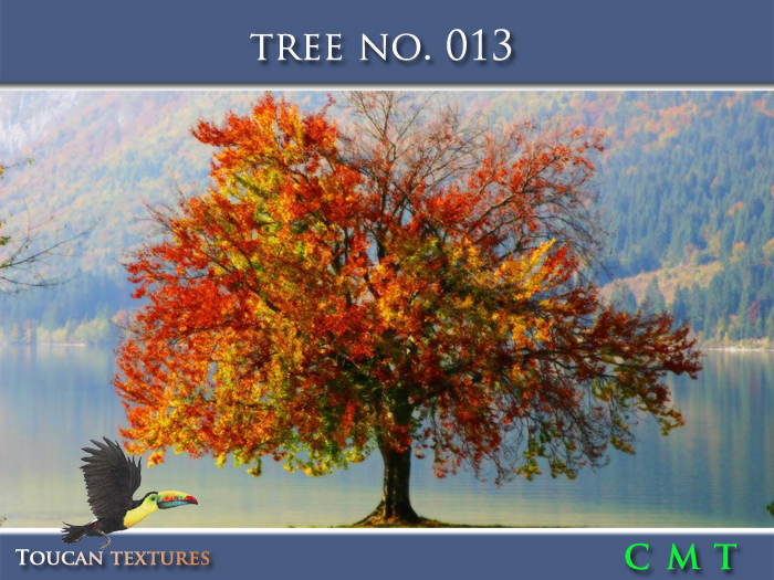 [Toucan Textures] Tree No. 013