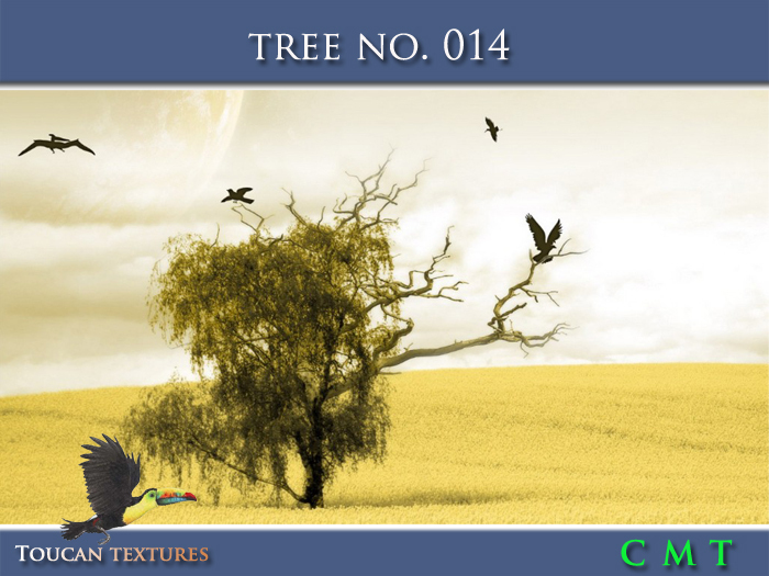 [Toucan Textures] Tree No. 014