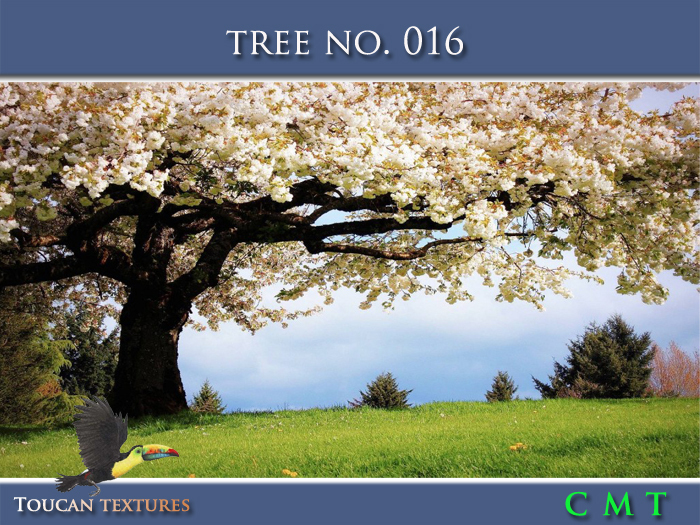 [Toucan Textures] Tree No. 016
