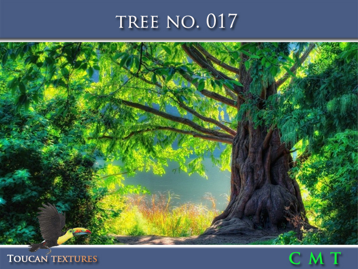 [Toucan Textures] Tree No. 017