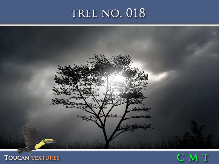 [Toucan Textures] Tree No. 018