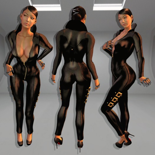 Mesh Catsuit Black Leather HD