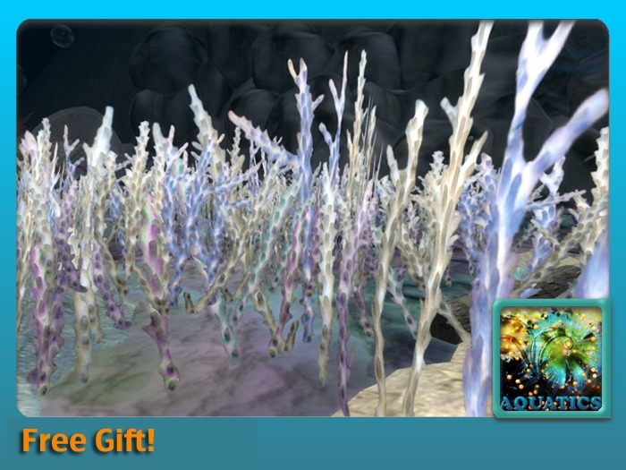 Gioia Smile Blue Patch Gift 