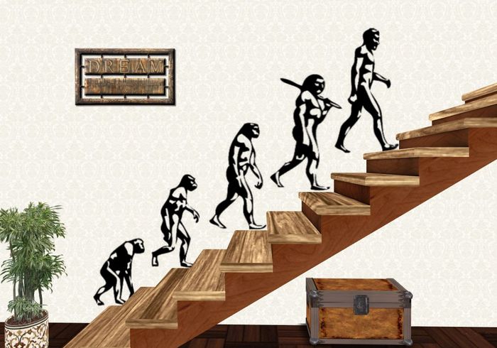 Evolution Theory Set Wall  Stickers