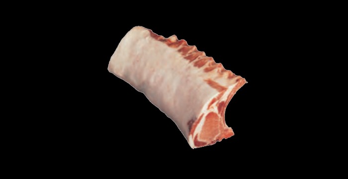 Meat ribs texture full perms