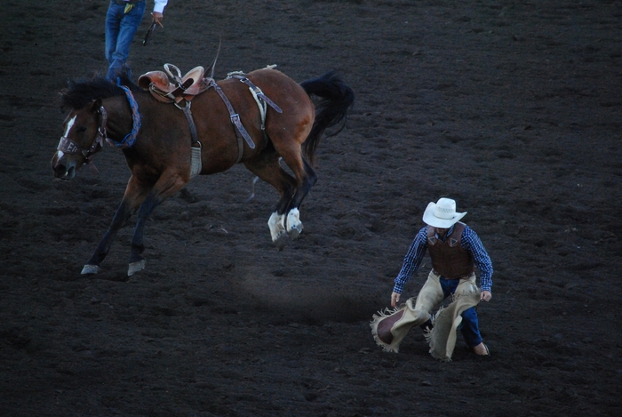 Rodeo