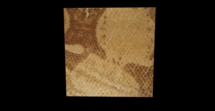Scaly Snake Skin full perms Texture