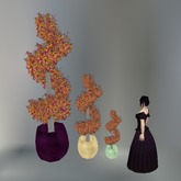 Autumn Sculpted Spiral Topiary with Multicolor Pot L box