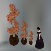 Autumn Sculpted Spiral Topiary with Multicolor Pot (Fatpack)