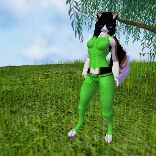 Stripe Outfit (Green) (BOXED)