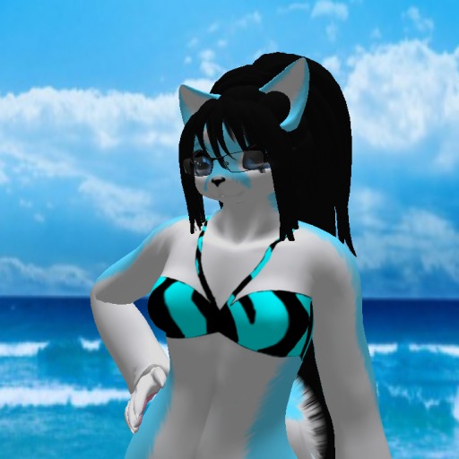 Black with Blue Strips Top (BOXED)