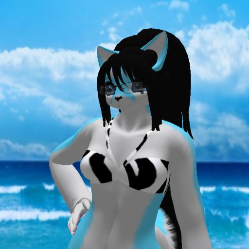 White Top with Stripes (BOXED)