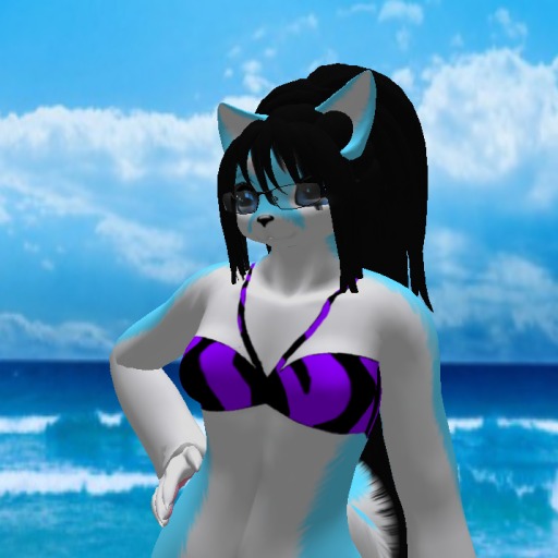 Black with Purple Stripes Top (BOXED)