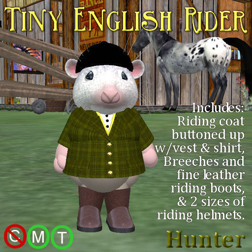 Awen's Tiny Clothes English Rider Hunter