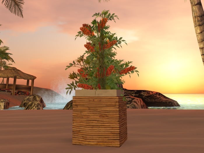 [A♥A] TSC PLANT A1