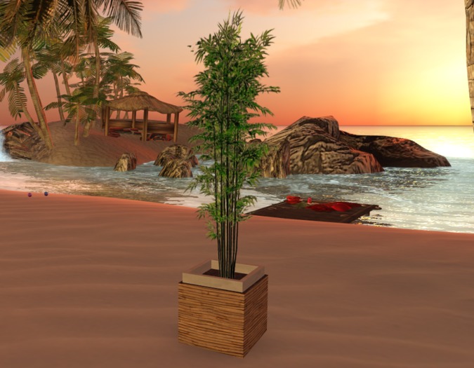 [A♥A] TSC PLANT A2