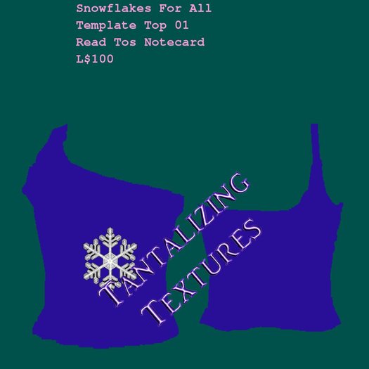 Tantalizing Textures-Snowflake Girl Top Blue