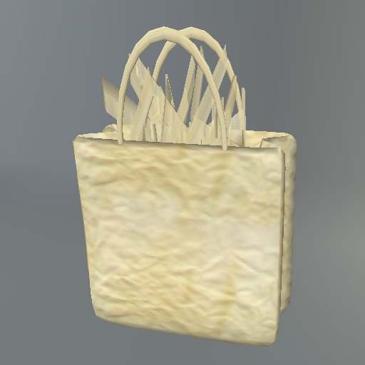Paper Giftbag