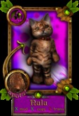 Maenx Cat Bangel Avatar