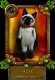 MaenxCat Siamese Avatar (Boxed)