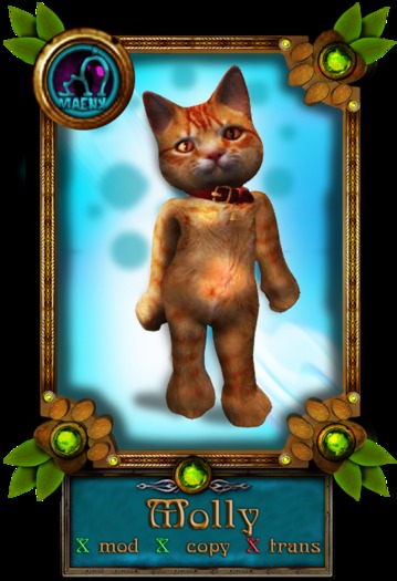 MaenxCat Ginger Avatar (Boxed)