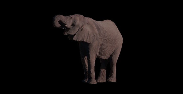 Elephant 2 full perms texture