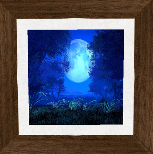 Framed Blue Moon Picture