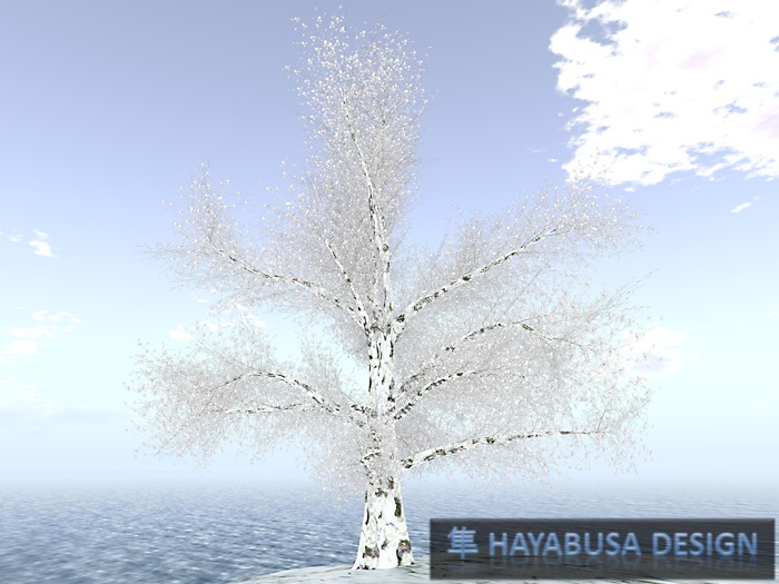 3 Trees and 2 Flowers - Low Price - Winter Discovery Box