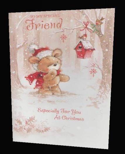Canny Cards - Friend Christmas Card