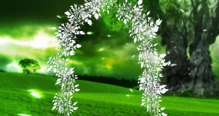 arche feuillage papillon