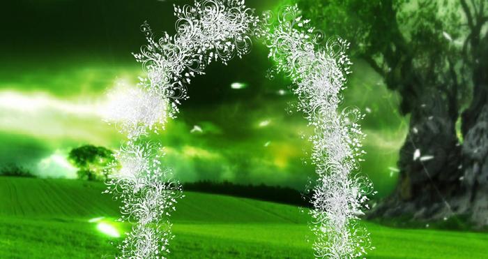 arche papillon blanc