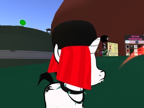 Second Life Marketplace - New Skunk Hat 5