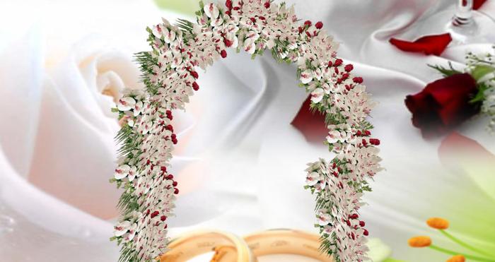 arch white orchid