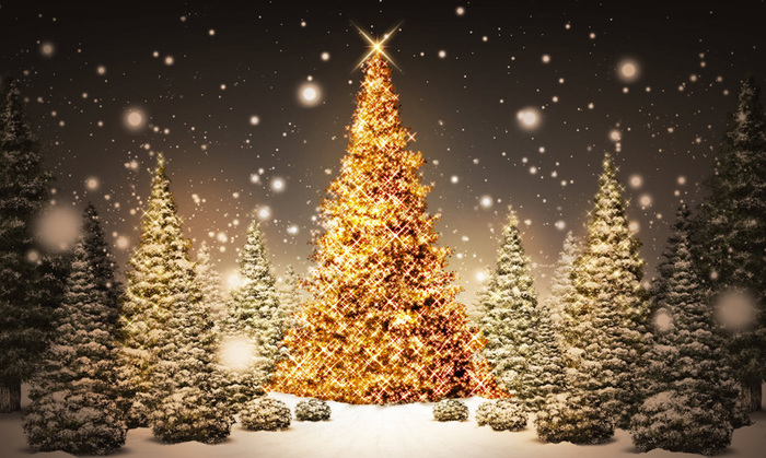Christmas tree sim backdrop surround copy mod