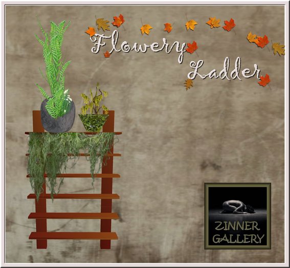 Zinner Gallery - Flowery Ladder  (Boxed)